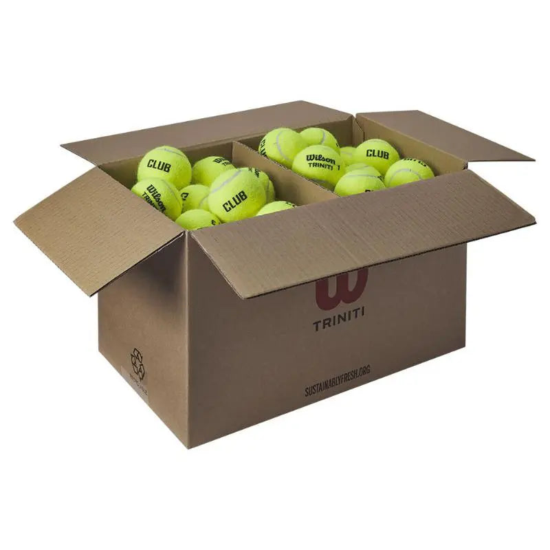 Carton Wilson Triniti Club 72 balles de padel Wilson