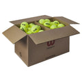 Carton Wilson Triniti Club 72 balles de padel Wilson