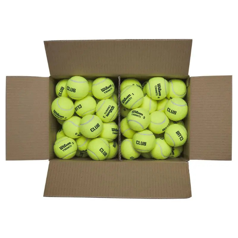 Carton Wilson Triniti Club 72 balles de padel Wilson