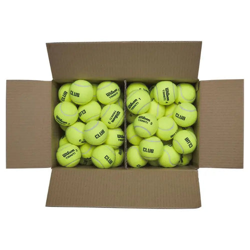 Carton Wilson Triniti Club 72 balles de padel Wilson