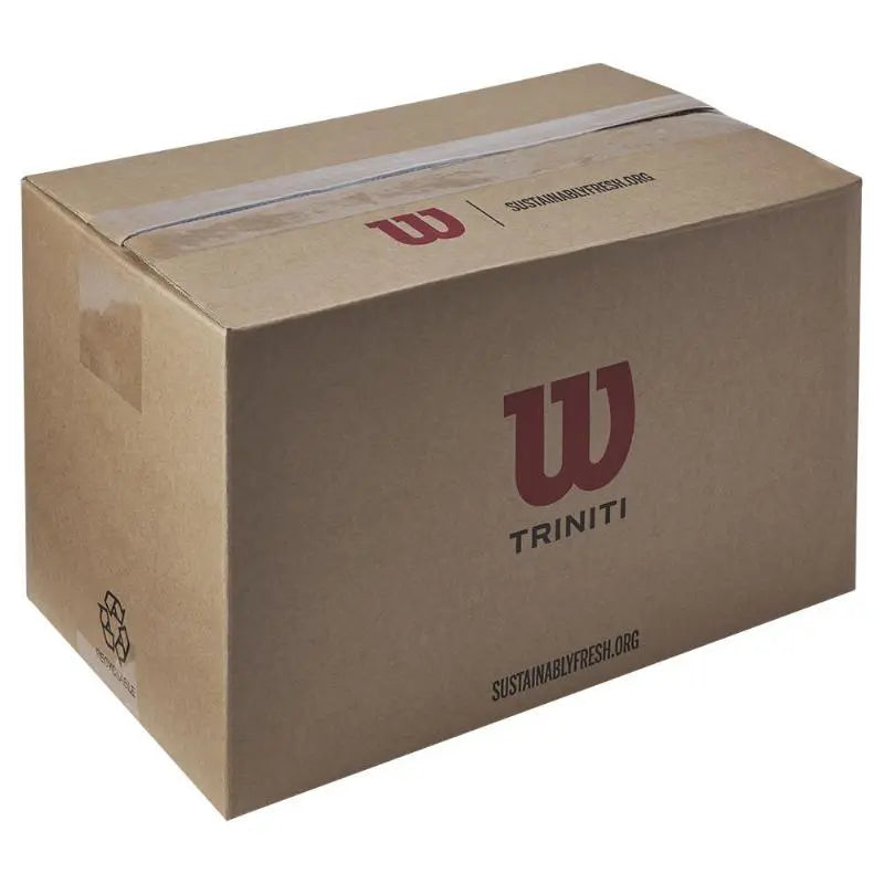 Carton Wilson Triniti Club 72 balles de padel Wilson