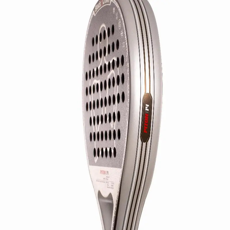 Raquette Black Crown Piton 14 2026 Black Crown