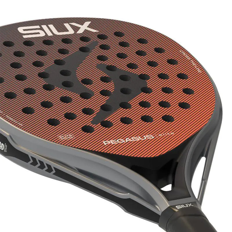 Raquette Siux Pegasus Elite 4 2026 SIUX
