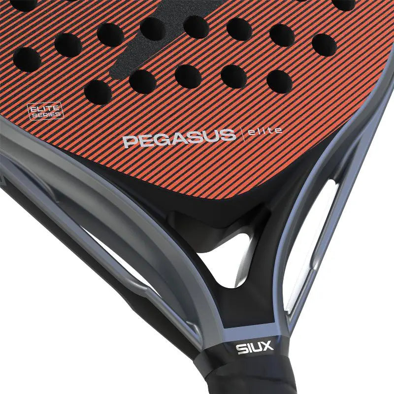Raquette Siux Pegasus Elite 4 2026 SIUX