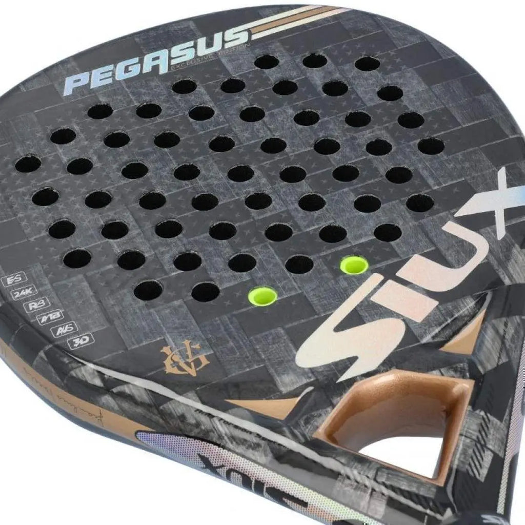Raquette Siux Pegasus GV Edition SIUX