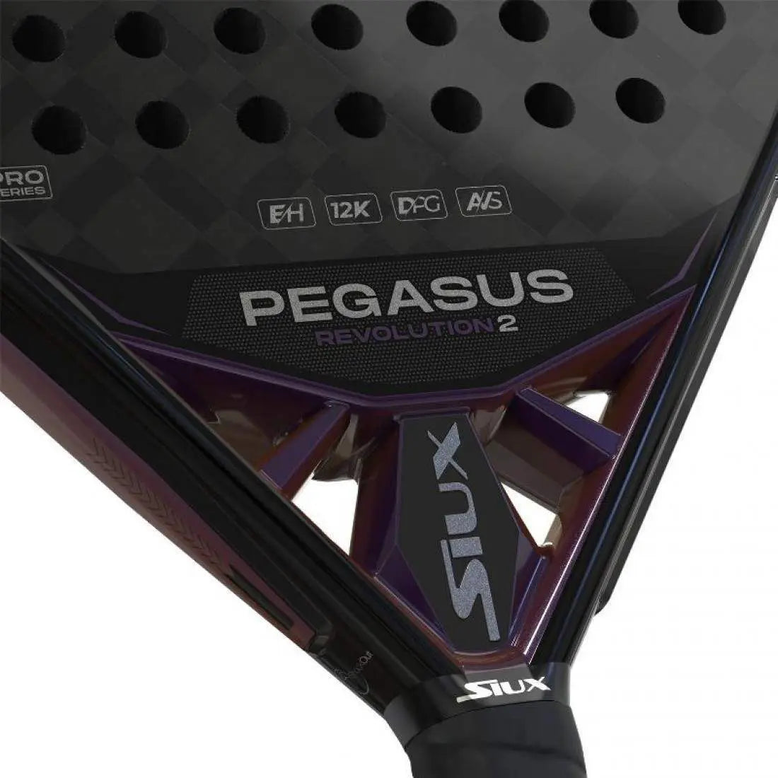 Raquette Siux Pegasus Revolution 2 2024 SIUX