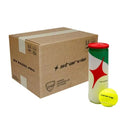 Carton 72 balles - 24 tubes de 3 unités Starvie Padel Master — vue de face