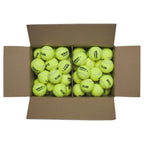 Carton Wilson Triniti Club 72 balles — vue de profil