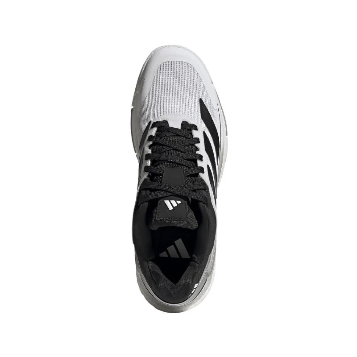 Chaussures padel Adidas Crazyquick Boost Padel blanc noir argent — vue en perspective