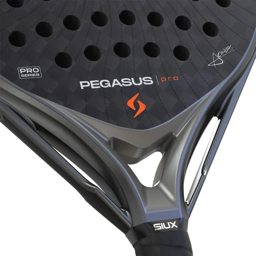 Raquette padel Siux Alex Chozas Pegasus Pro 2026 gris noir — vue de dos