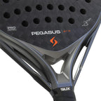Raquette padel Siux Alex Chozas Pegasus Pro 2026 gris noir — vue de dos