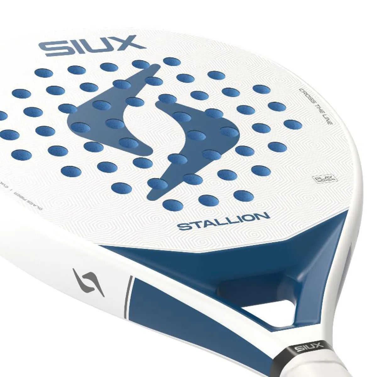 Raquette padel Siux Stallion blanc 2026 — vue de dessus