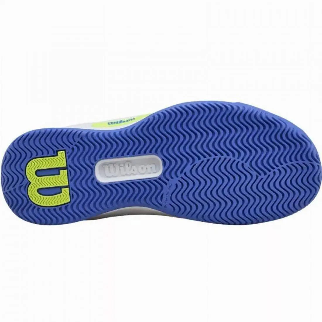 Chaussures de padel Femme Wilson Intrigue Pro Blanc Bleu