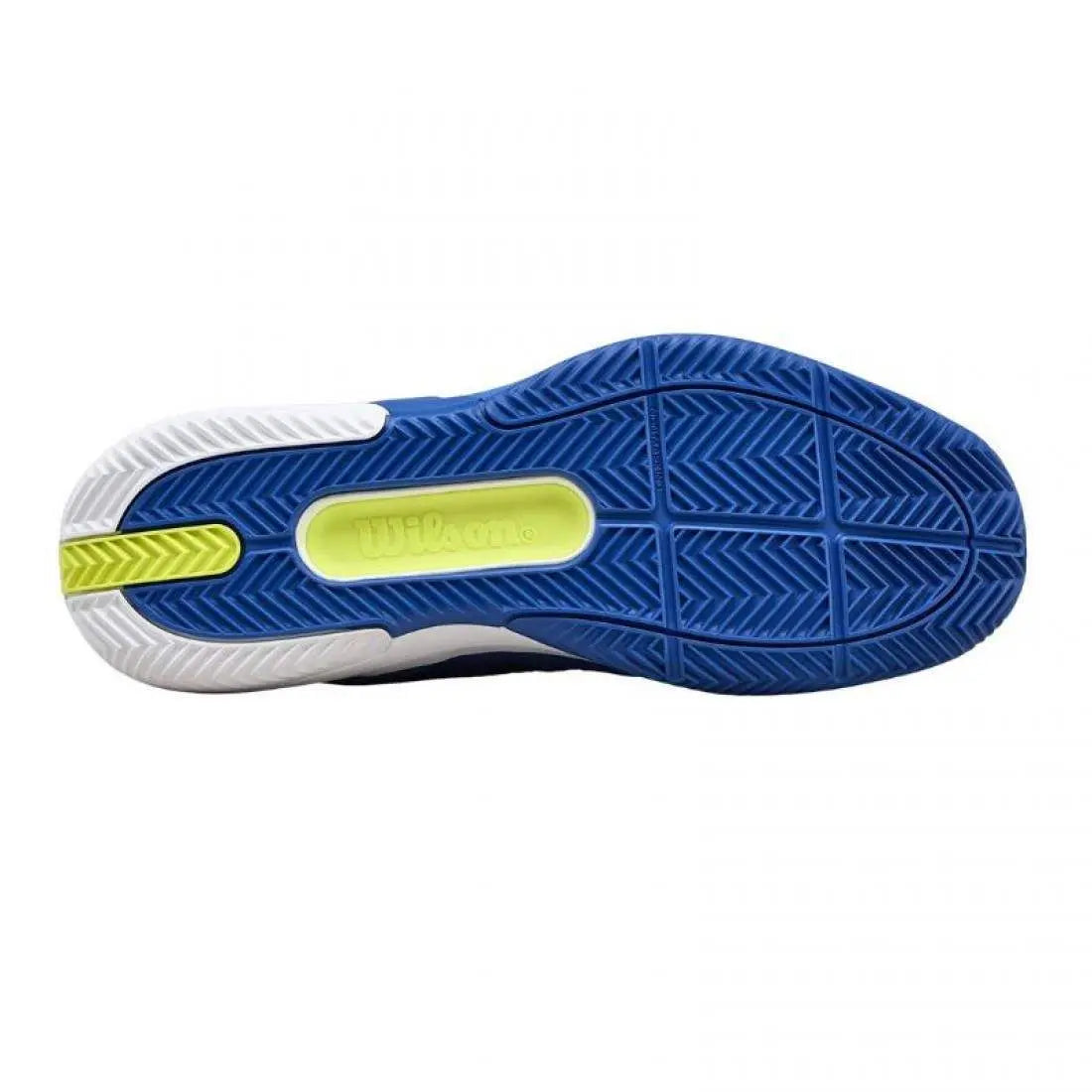 Chaussures de padel Homme Wilson Rush Pro 5 Clay Bleu Blanc